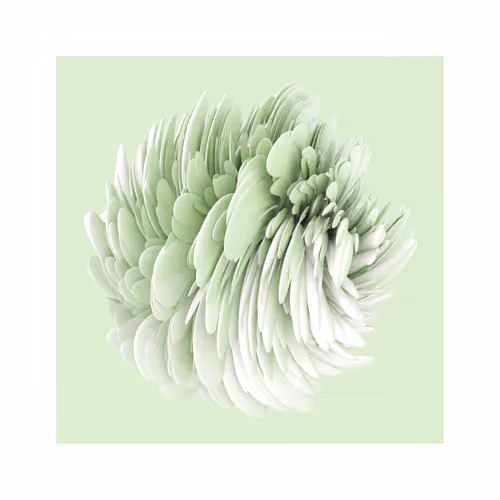 Item #110301982495542579391622445238683062529571479395503037800619951295156910555137 Media