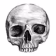 ScribbleSkulls