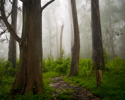 Item #82666956697073059935250471949023285858624698901330742305278420807491182919681 Media