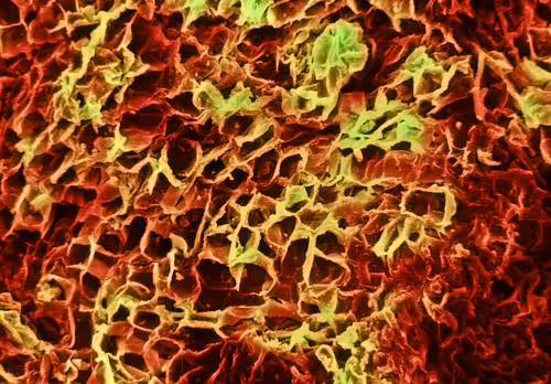 Item #115505927728344181025262329658899620468765138243295584093365708453975380983809 Media