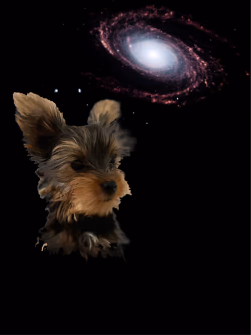 Item #104436702811462437734086772813711904180580263858464990188133305440348451897345 Media