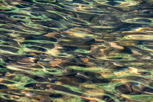 Item #81441334517361708208394031135700195474624799851237506988747107962299179073537 Media