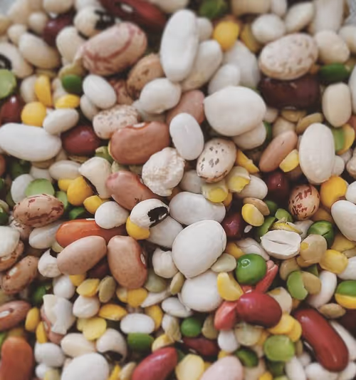 Item #35547100278351488731763920705704692290777172266042510105310327020286031953921 Media