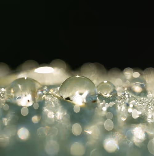 Item #59259199848972023857732761646304634361280699770576024418514166917963213438977 Media