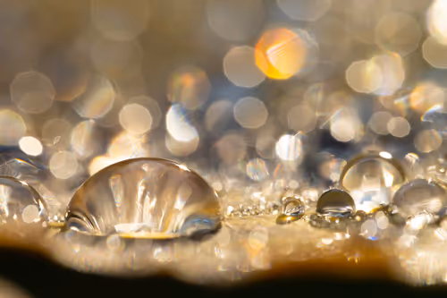 Item #59259199848972023857732761646304634361280699770576024418514166927858818088961 Media