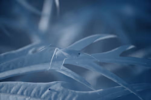 Item #84630877256389803822544637333020280854396826404545033634090050552044877512705 Media