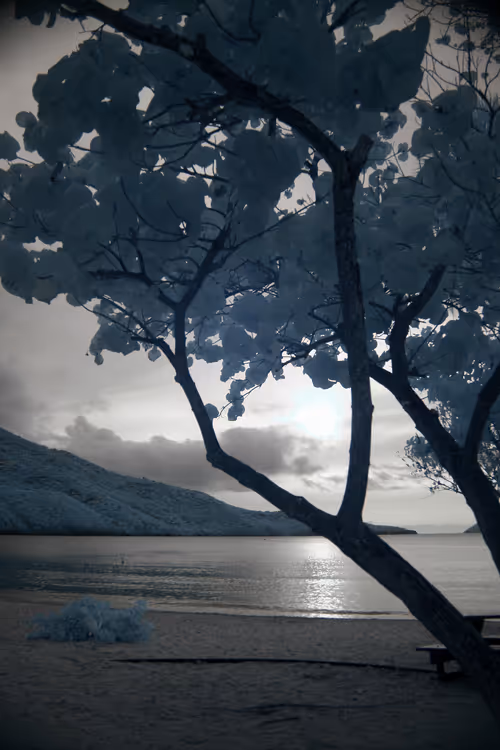 Item #84630877256389803822544637333020280854396826404545033634090050527855621701633 Media