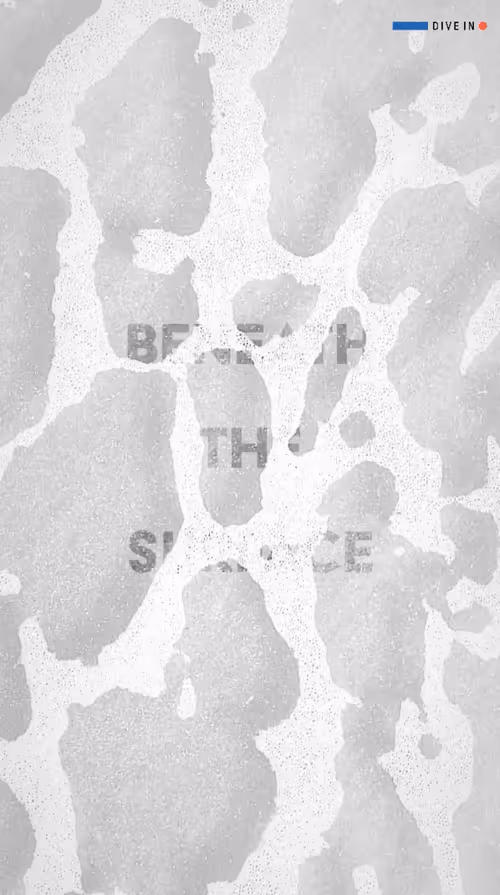 Item #95628935579047862294888083710267829534789365889549982947545054397662337433601 Media