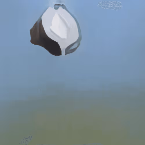 Item #36719803494851039880066145456282917715064893508771189490274221140251693285377 Media