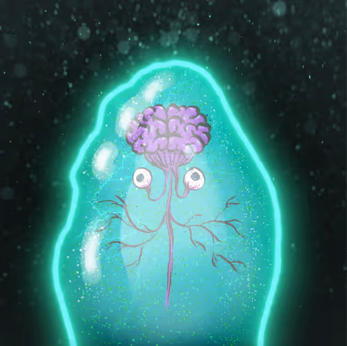 Item #19722261033862470509890623216777855431061794065920309149532644662334300618753 Media