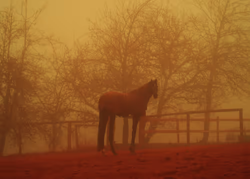 Item #3601436234996315430006013910499200169478742861984113335982183061781898854401 Media