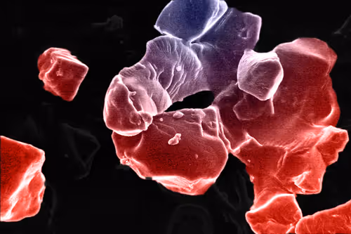 Item #115505927728344181025262329658899620468765138243295584093365708388004683317249 Media