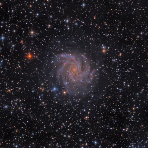 Item #108186161995134237610402563983755486596284983973067621403088740275776309428225 Media