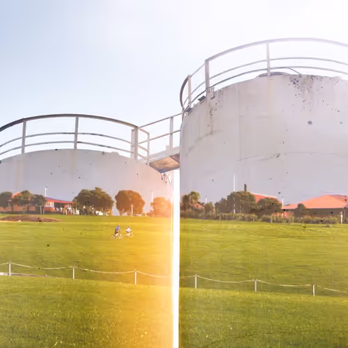 Item #59100591460969090848093152469102707440885830414673782650703488492885107539969 Media