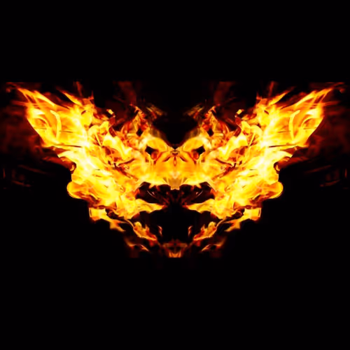 Item #103339499658907074455911852821514679659062129792359254936295357039141176999937 Media