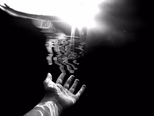 Item #48785457818066054559368395541392267450679449328533831279358886276558779056129 Media