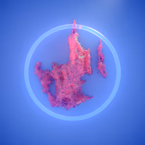 Item #92877229357164046472028175889131918179999340354375960899241609972262664929281 Media