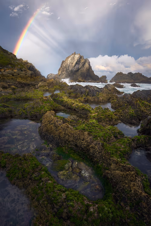 Item #112241139933589088795661151874445265147488650533013612432304602924320523550721 Media