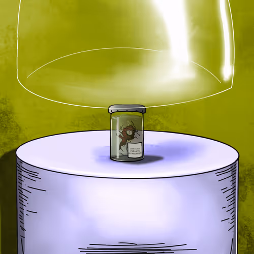 Item #24676067168319247841047234120788951702981957427274227053484940233141896871937 Media