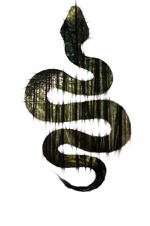 Item #108690322610415126541494735983946097923387489104083024879500461956217020874753 Media