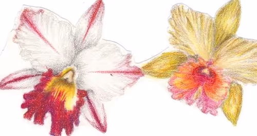 Item #93642578342467027138965080131867843902925023607769752424487575610152280129537 Media