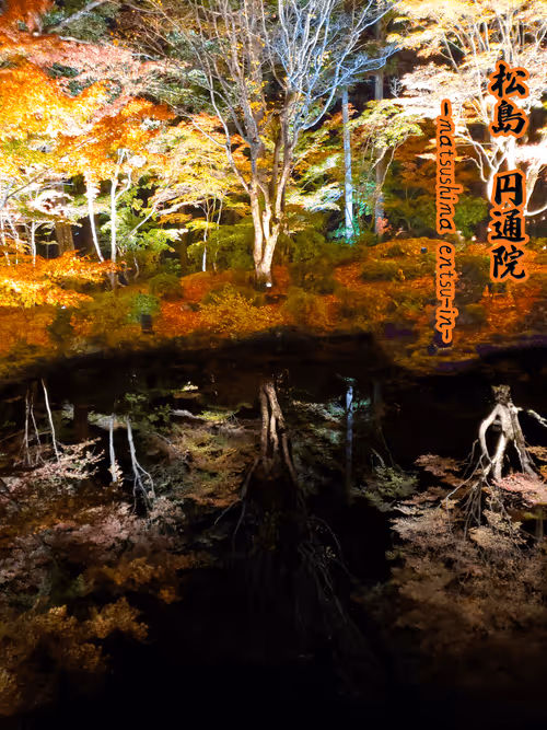 Item #52615348514737977383465760867946834813808376247568404312311792168165022105601 Media