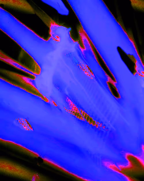 Item #74321580699693805405400531737243136428970360100331586117131674750215964852225 Media