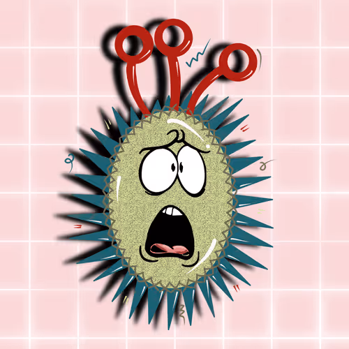 Item #77430436510531877776814311335486126084581239055120565824270562284362549690369 Media