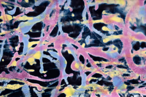 Item #23953230745994406582939997092897091351371610828269103110916008589800750710785 Media