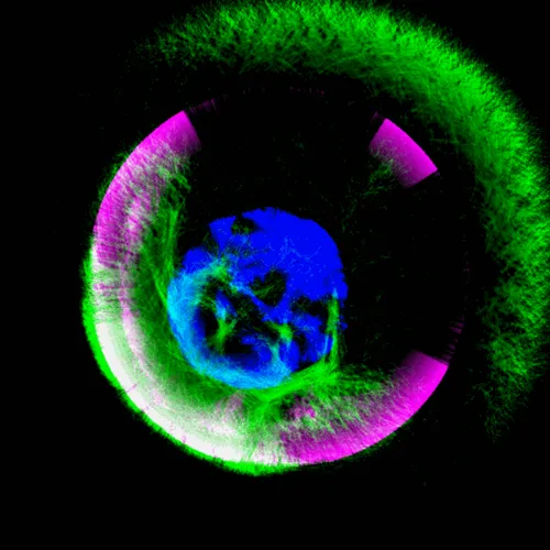 Item #51929734946411346289540790635765095060363125039145709683616697080391403569153 Media