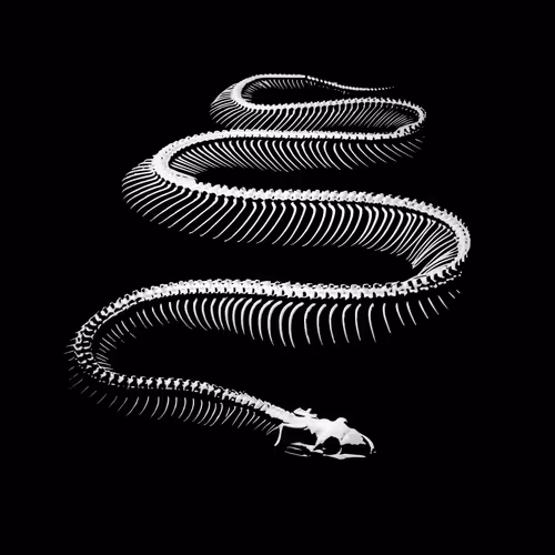 Item #32280227684796633281509489685107784796052920964773961429317660109091872178177 Media