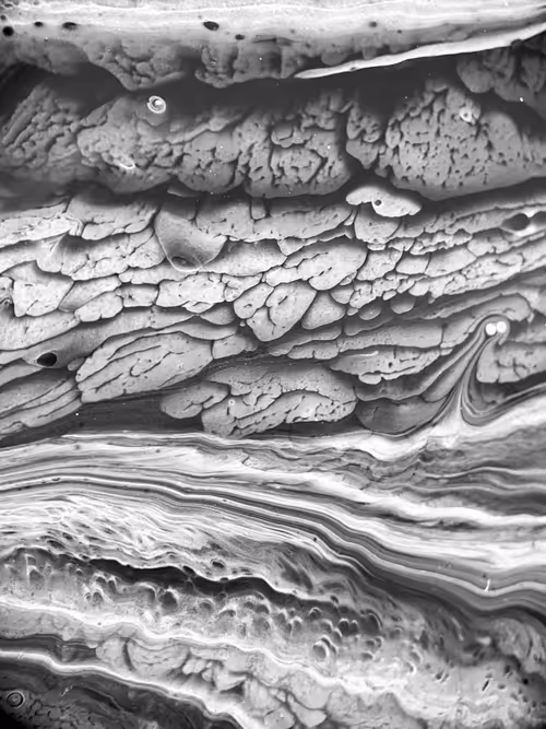 Item #199348557745545512943347160139758734699136135801198035903809511428483710977 Media