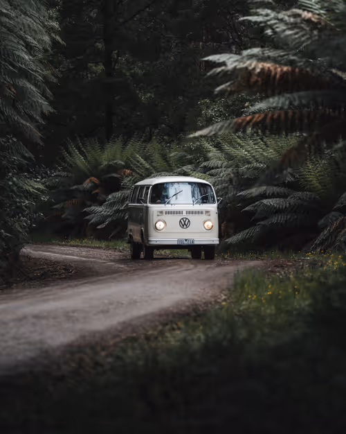 Item #86385672013831146465548650078662187187055141490040132723525304222644835450881 Media