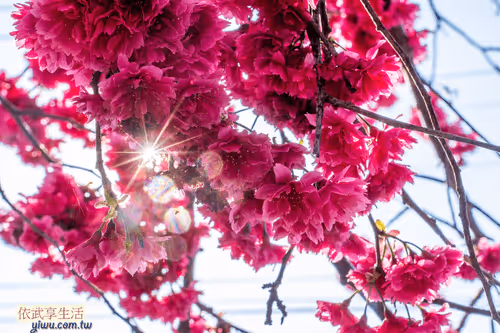 Item #100744422725674417057824683306763013505668843176654858816283483932932024827905 Media