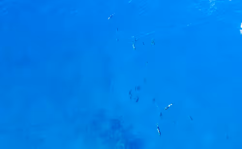 Item #61766932903347958731953246728131449434683822553701043197731977555151496937473 Media