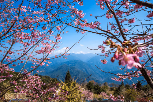 Item #100744422725674417057824683306763013505668843176654858816283483950524210872321 Media