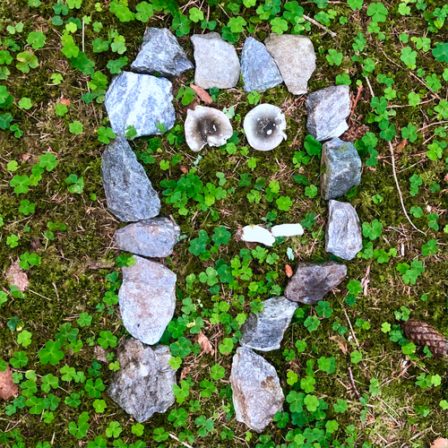 Item #98107617753721193587173935520703534334244090805083319737588344735908721852417 Media