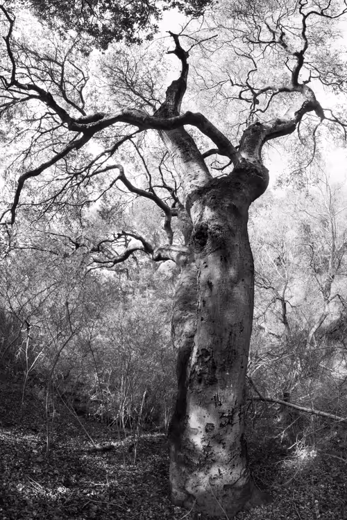 Item #82666956697073059935250471949023285858624698901330742305278420797595578269697 Media