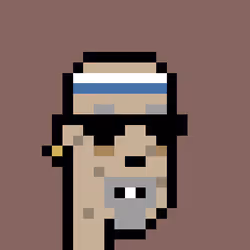 113692178002948377765403601574349095270839008870100010950383254034499403513857