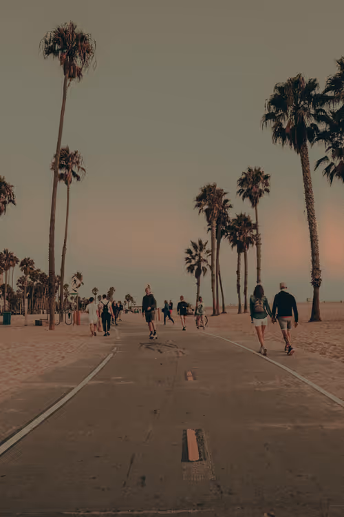 Item #35557780727049604459658880725917592814256363748111026780455796837668452564993 Media