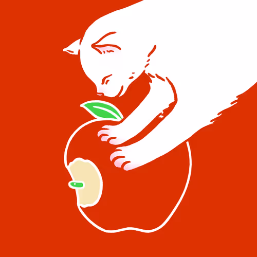 Item #100546326840938006351179611880488389822132399347808687645215853925030351077377 Media