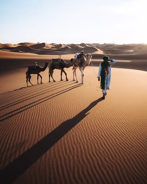 Item #86385672013831146465548650078662187187055141490040132723525304192958021500929 Media