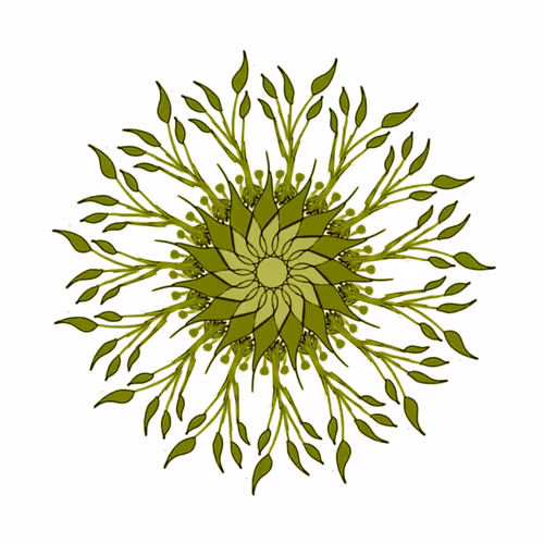 Item #26185187814367725376940026929040218982398144969044494291860281342334399938561 Media