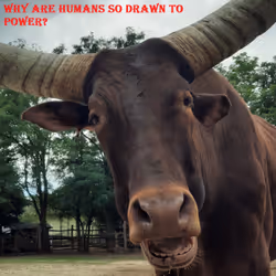 51313302132644519913343847646347811445510524411913136629935896428849194336257