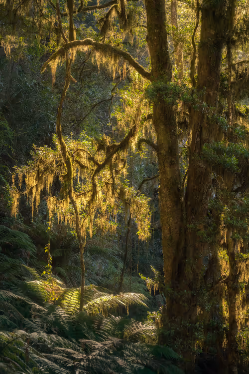 Item #112241139933589088795661151874445265147488650533013612432304602905628825878529 Media