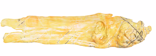 Item #22900232604420011537493696971111842688534829566160071035010649924938990878721 Media