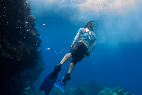 Item #61766932903347958731953246728131449434683822553701043197731977554051985309697 Media