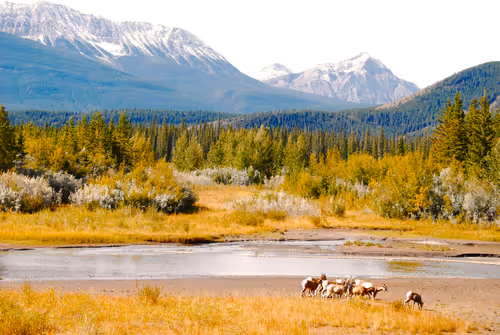 Item #33261409280827848890636833313665954217119010705453802455397167676689613848584 Media