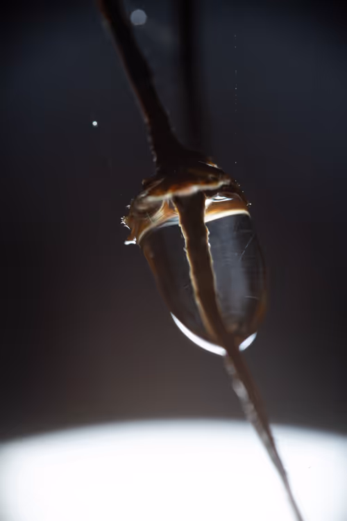 Item #59259199848972023857732761646304634361280699770576024418514166936654911111169 Media