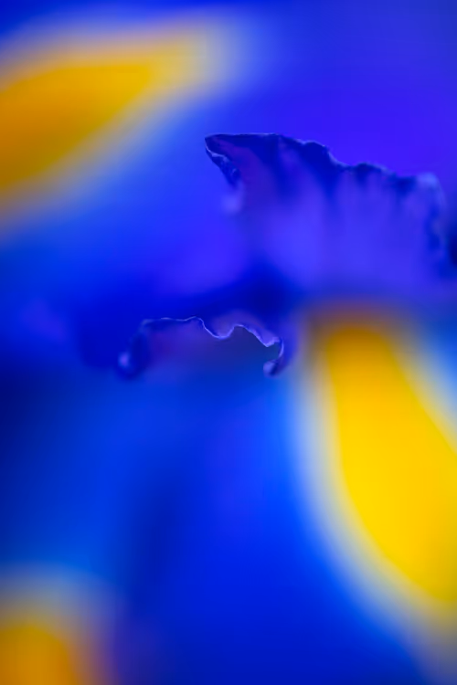 Item #24632583837492670092599633934589483131746797002802219579488358116247264559105 Media